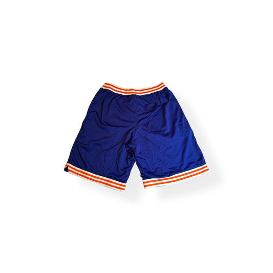 Champion Shorts - Blue